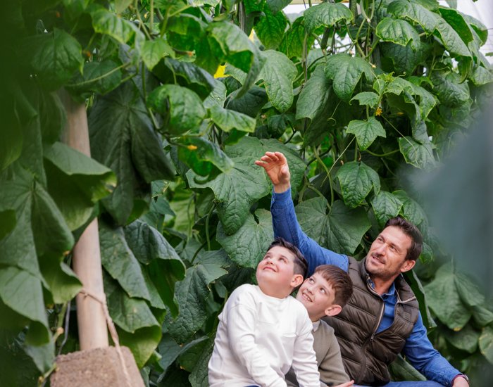 RZES260113_772_Blue Leaf-Edit