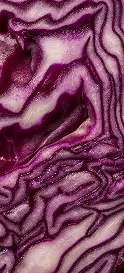 UK | Hero-Cell S | Brassica Open Days