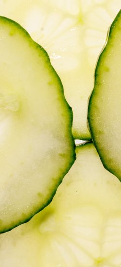 RZNL240123_001_Level 2 cucumber