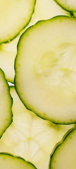 RZNL240123_002_Level 2 cucumber