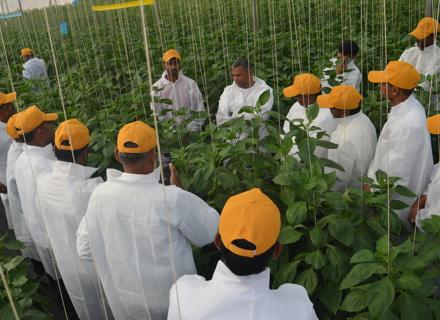 IN | Garakahalli Demo Day 2025