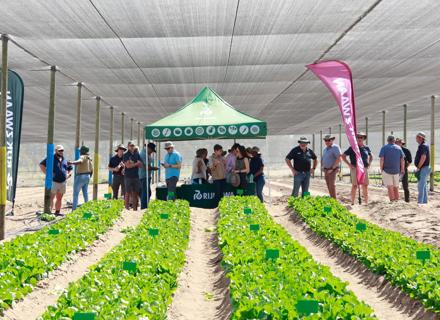 Crunchy breeder day (306 of 443)