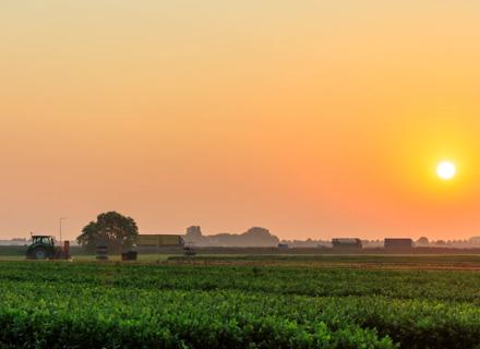 RZNL240920_002_Fijnaart Sunrise