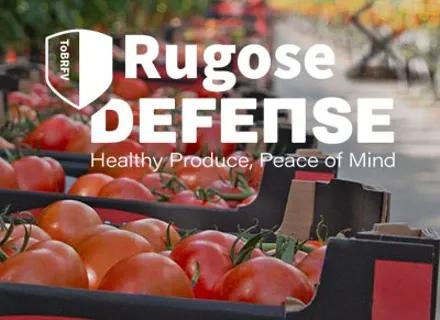 XX | Hero | VI24 | News | Rugose Defense