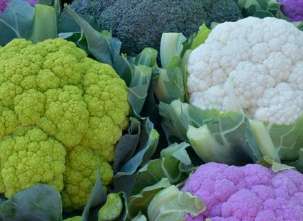 RZHU221019_001_Mix Brassica