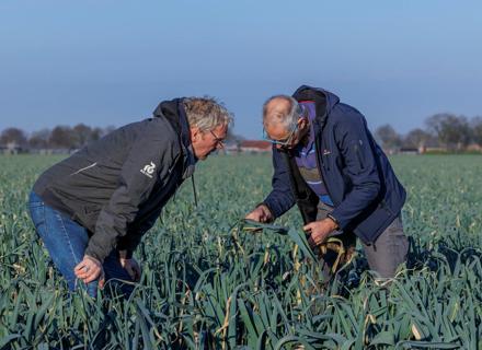 RZNL250320_001_Leek field