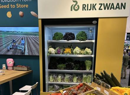 Rijk Zwaan IFPA 2025