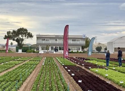 RZES_Winter Open Field Days 2026