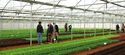 IT | Media | Featured | Demo Days Lettuce Fondi 2025