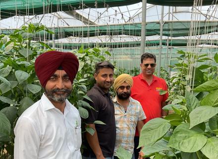 IN | Indoor Crop Demo Day