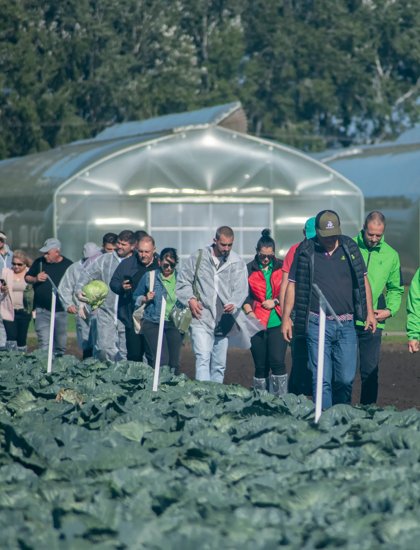 RZHU241010_013_Brassica_Distributor_Day_Felgyo