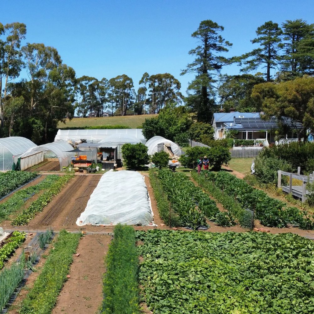 Adsum Farm: From small beginnings