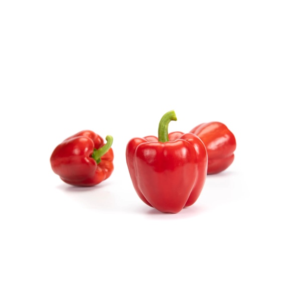 비날레스 VINALES RZ F1 product photo front L