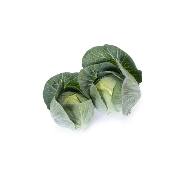 FLEXIMA F1 (30-295) Produktbild view-2 L