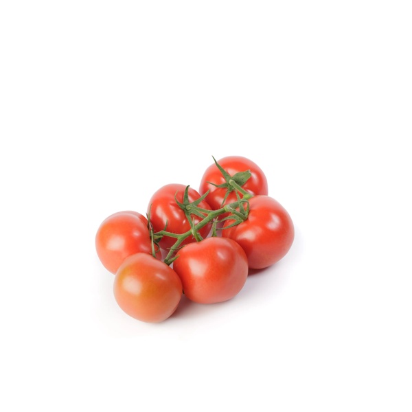 TOMICIA RZ F1 (72-724) product photo front L