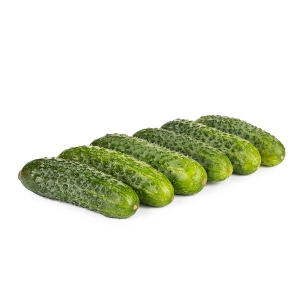 WOLFGANG RZ F1 product photo view-2 L
