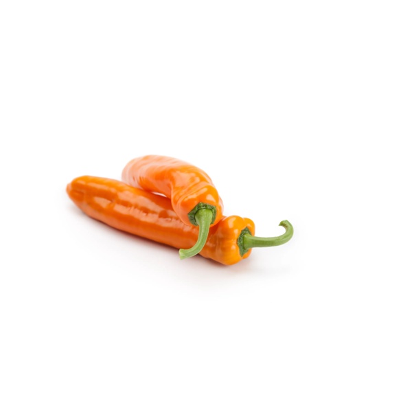 PALERMO OBEDIUS RZ F1 product photo view-2 L