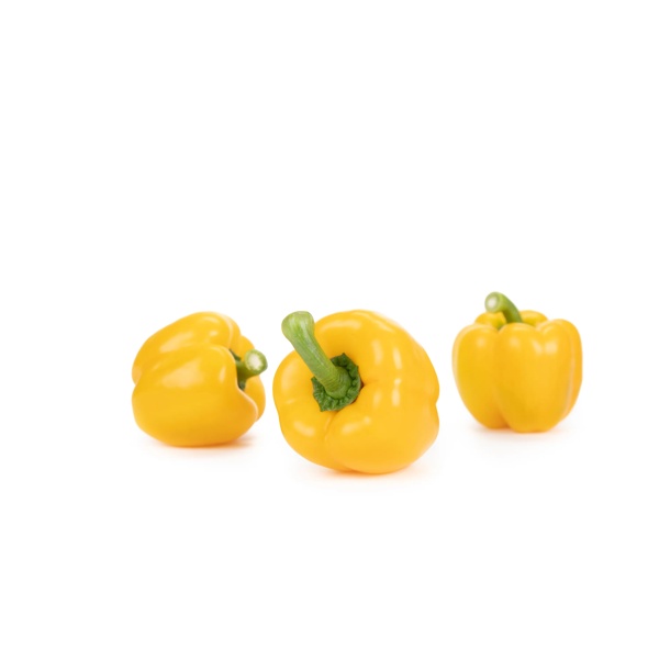 모르비델리 MEDITATION RZ F1 product photo view-2 L