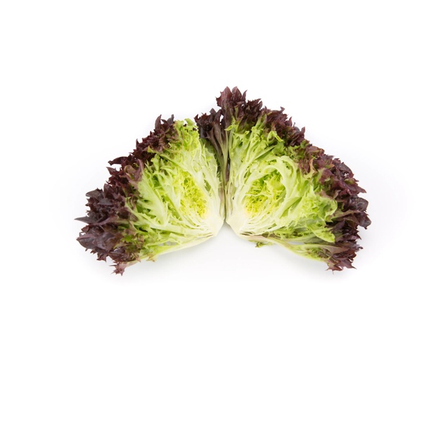 HAFLEX RZ product photo view-2 L