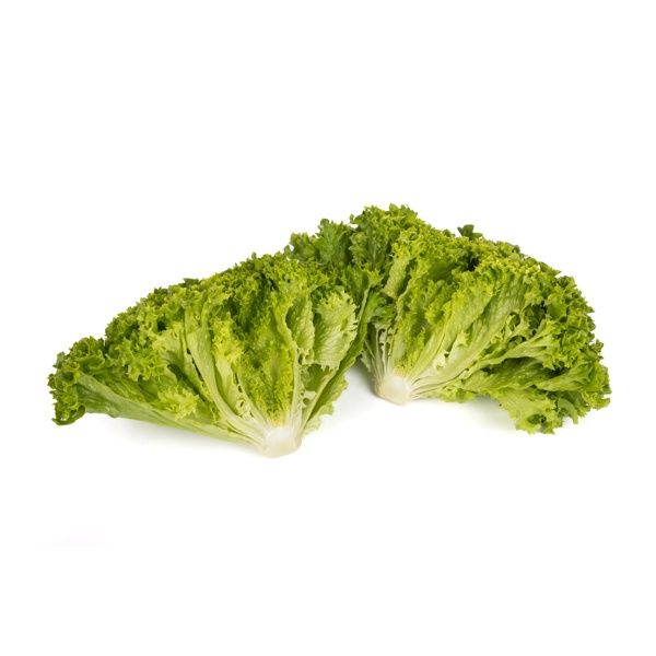 85-LE1448 RZ product photo view-2 L
