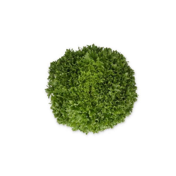 EXWINK RZ product photo front L