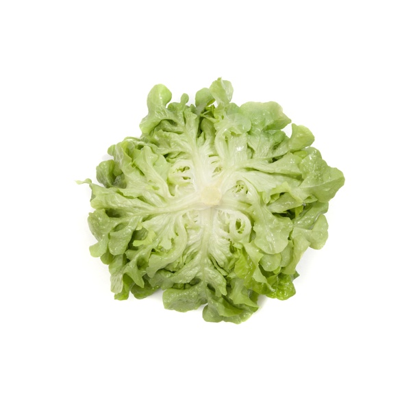 KIRINIA RZ (83-44) product photo view-3 L