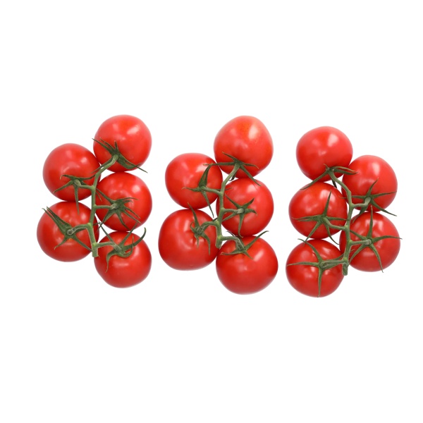 SANPAVEL RZ F1 (72-IM6773) - Tomato | Rijk Zwaan
