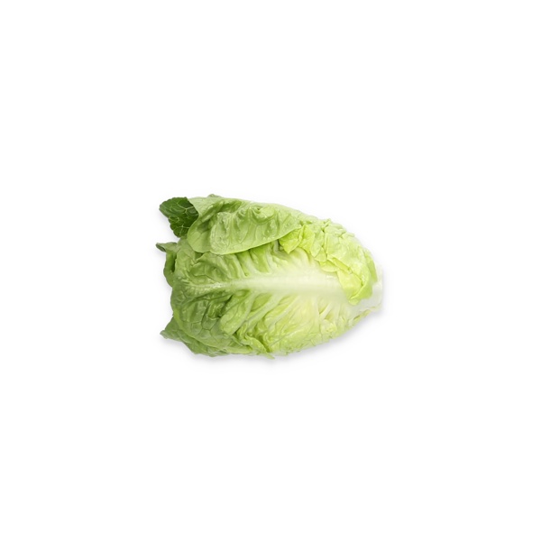 RUBIELOS RZ (41-GE1784) product photo view-4 L