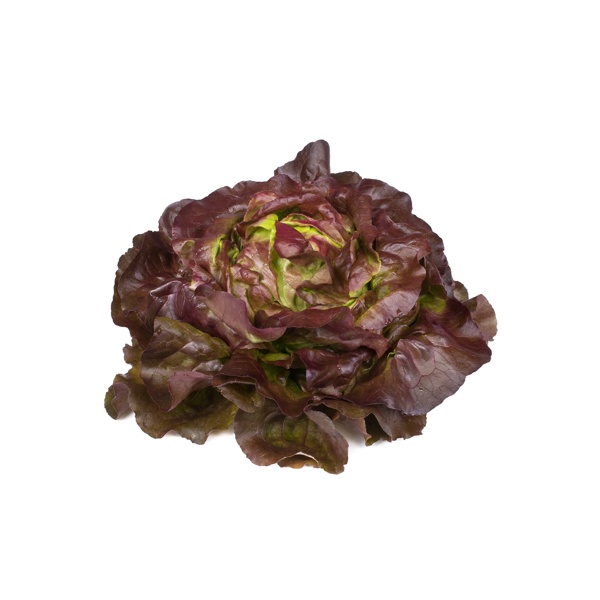 JERRICAN RZ (43-539) product photo front L