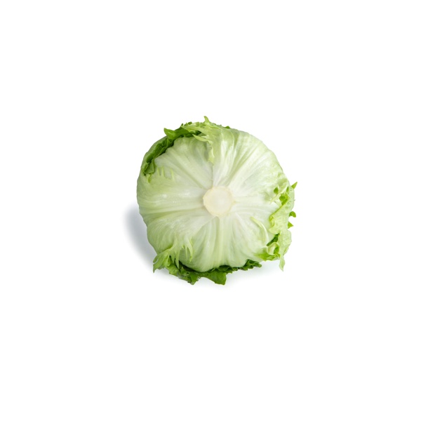 NEVANAS RZ (45-IC4317) product photo view-3 L