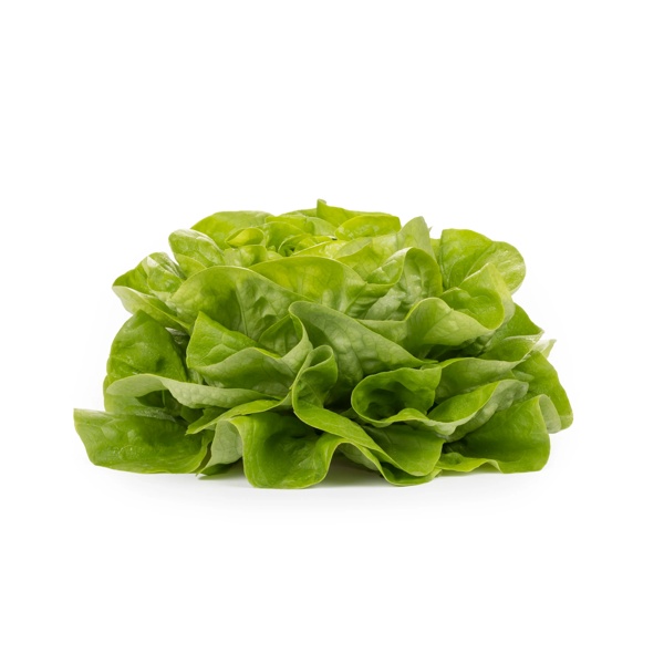 GAMBETTA RZ product photo view-2 L