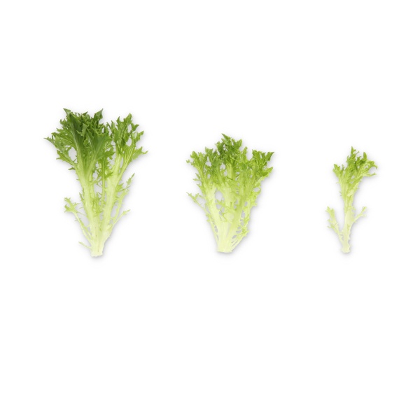EXMOND RZ product photo view-3 L