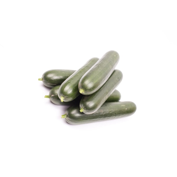 CAPTAINSTAR RZ F1 product photo front L