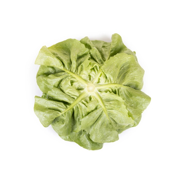 DANUBIA (42-BU6965) Produktbild view-4 L
