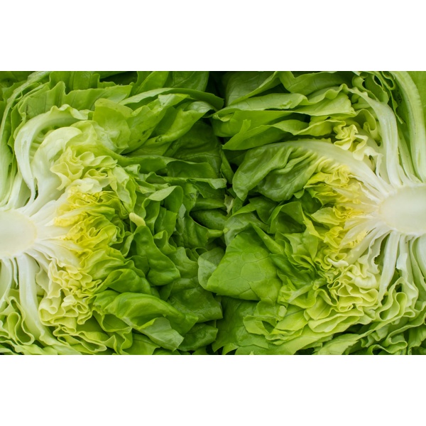 EVADNE - EDWIGE RZ product photo view-3 L