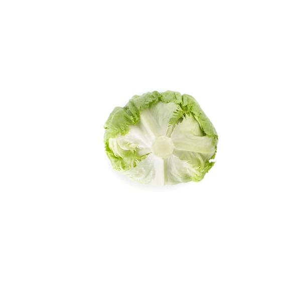 ISLANDIA RZ (45-84) product photo view-3 L
