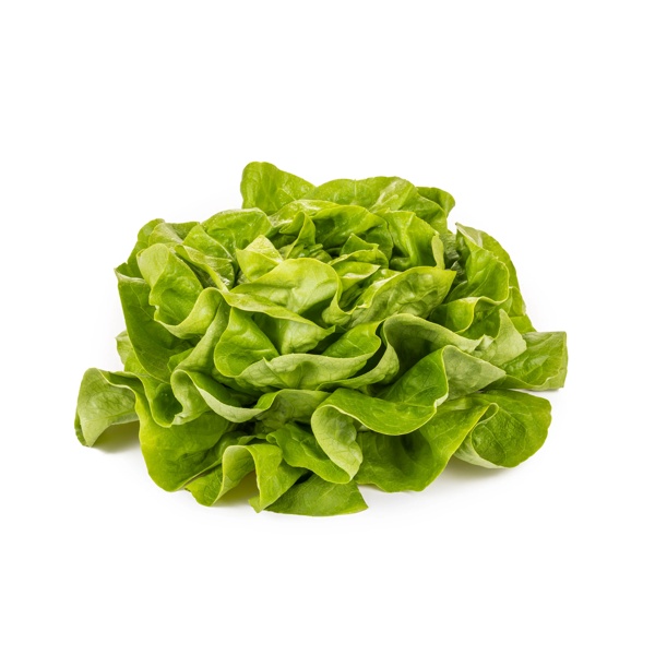 DANUBIA (42-BU6965) Produktbild front L