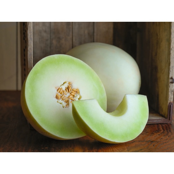 CHIRIACO RZ F1 (34-WL0919) product photo view-2 L