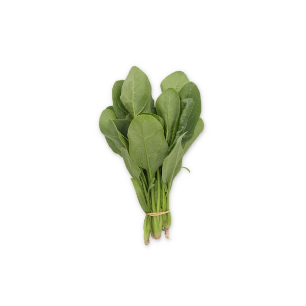 SKIPJACK RZ F1 product photo view-3 L