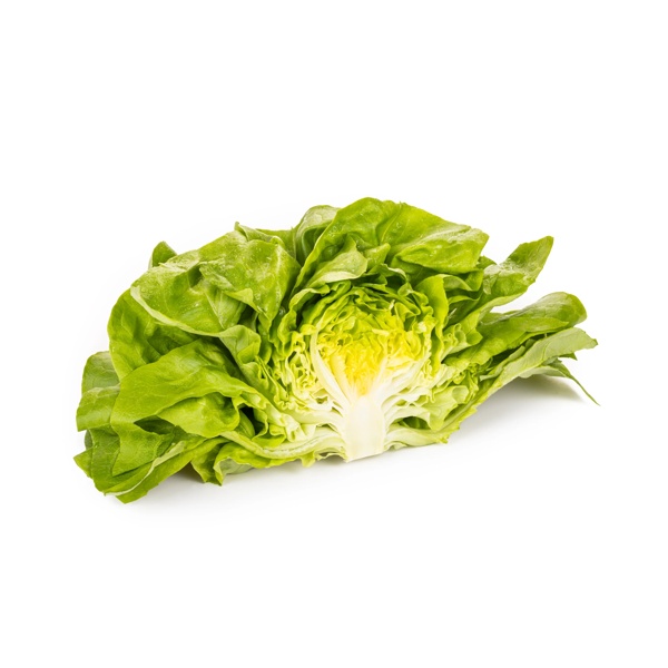 DANUBIA (42-BU6965) Produktbild view-3 L