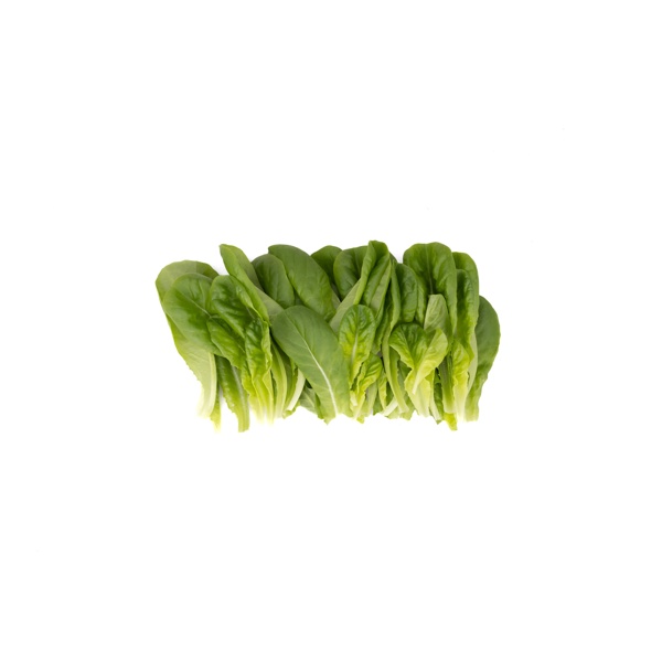 GIBBARD RZ (79-ML1112) product photo view-2 L