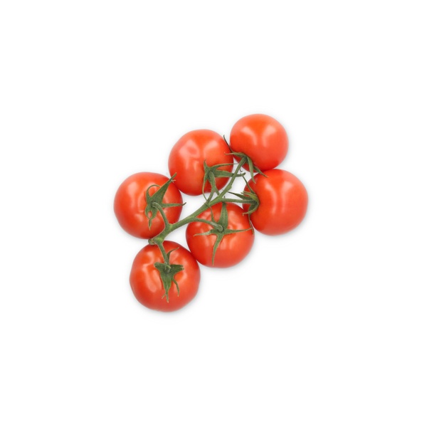ONORICIA RZ F1 product photo front L