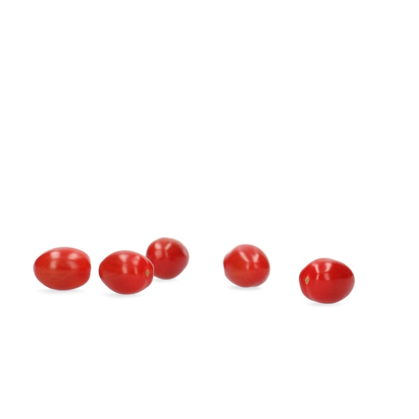 RASBORA RZ F1 (72-020) product photo front L