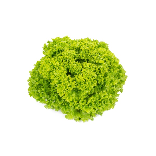 TERAMO RZ product photo front L