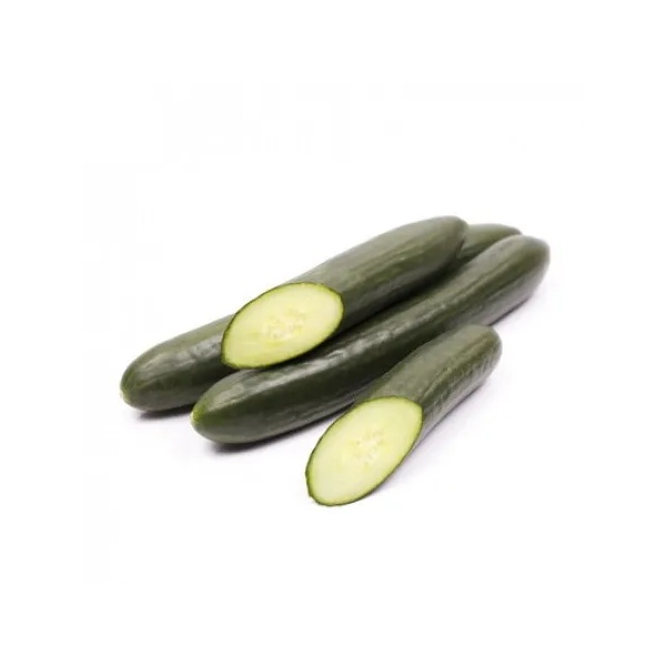 Sementes de pepino | Pepino japonês | Verde | TAKAI RZ F1 | Rijk