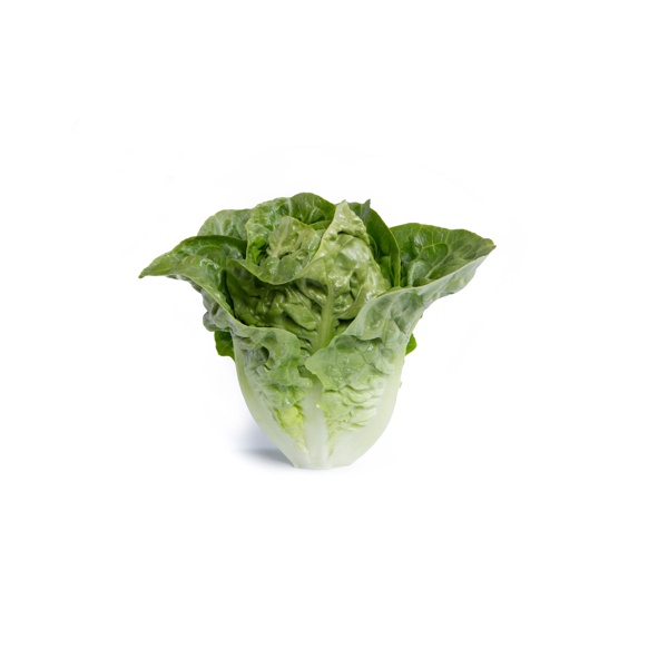 ALCOY-COMILLAS RZ product photo view-2 L