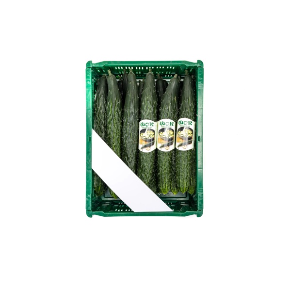 WOKCUE RZ F1 (27-103) product photo view-2 L