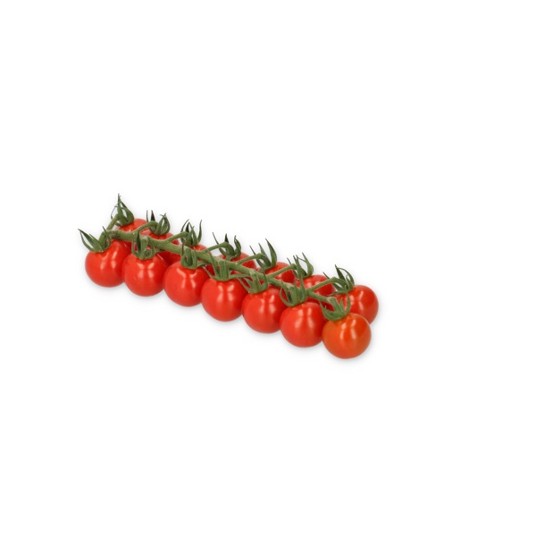 PROVENTURA RZ F1 (72-CH0363) product photo view-2 L