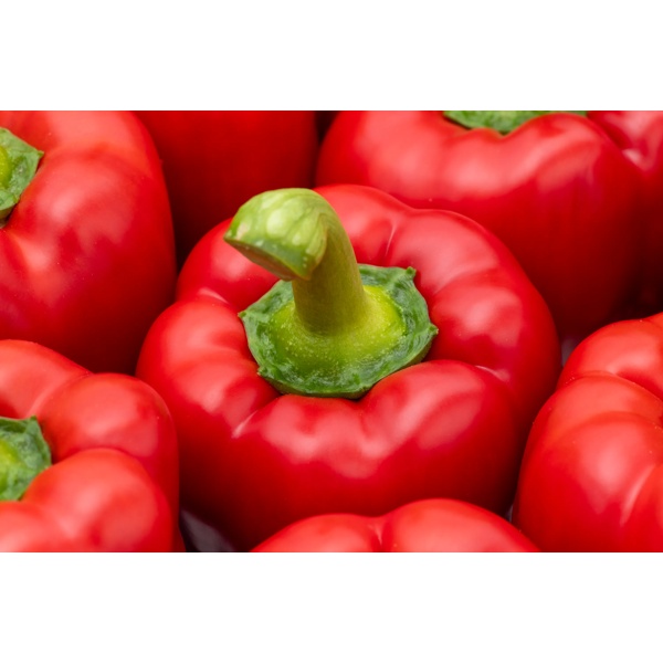 RED JET RZ F1 product photo view-3 L