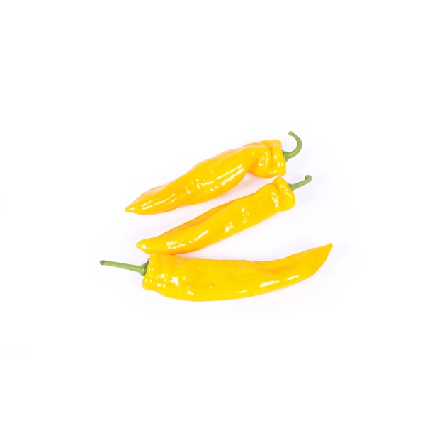 PALERMO YELIBER RZ F1 product photo front L